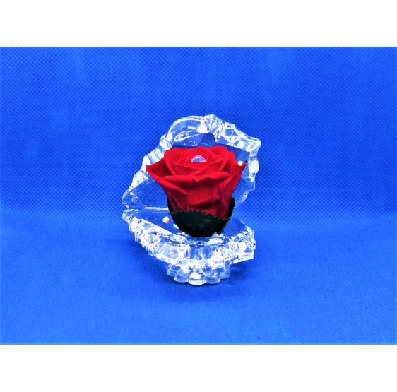 Ostrica luxor in cristallo con rosa