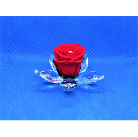 Ninfea piccola cristallo e rosa