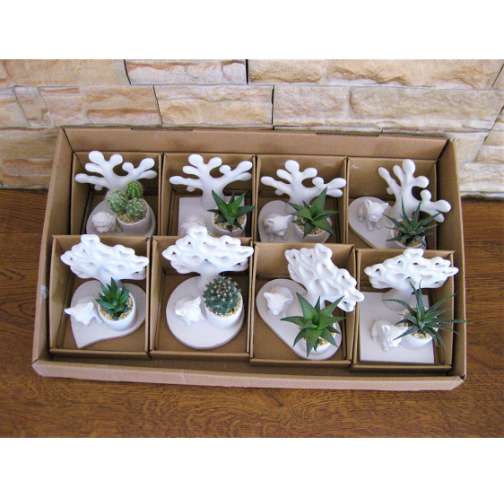 Cani piccoli albero e pianta grassa