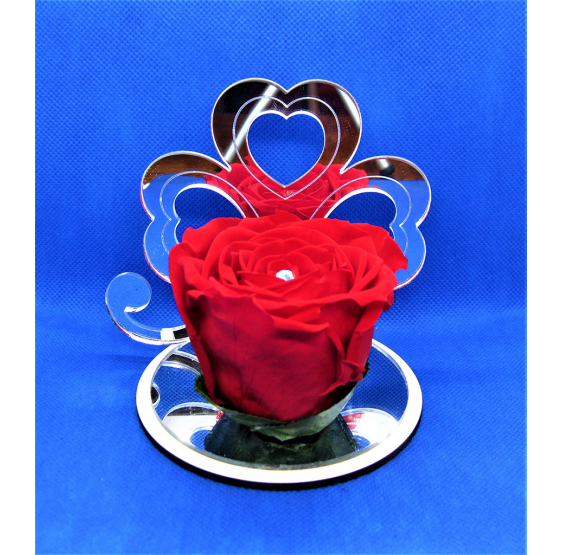 Quadrifoglio specchio plex