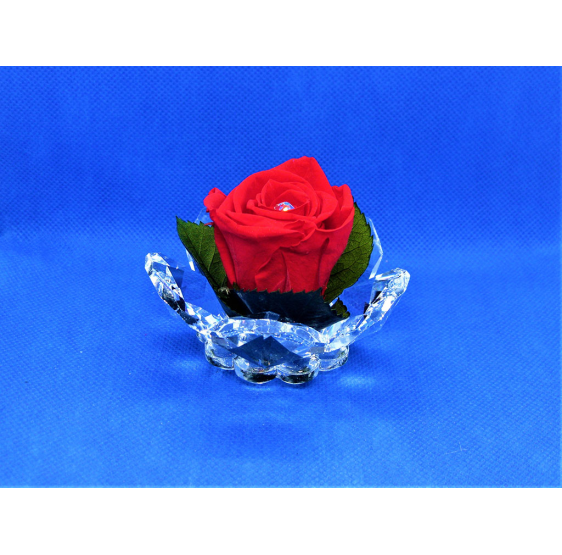 Rosa media cristallo e rosa stab