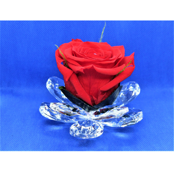 Fiore grande cristallo e rosa