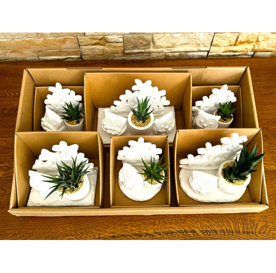 Serie 6 gufi con fiori e pianta grassa