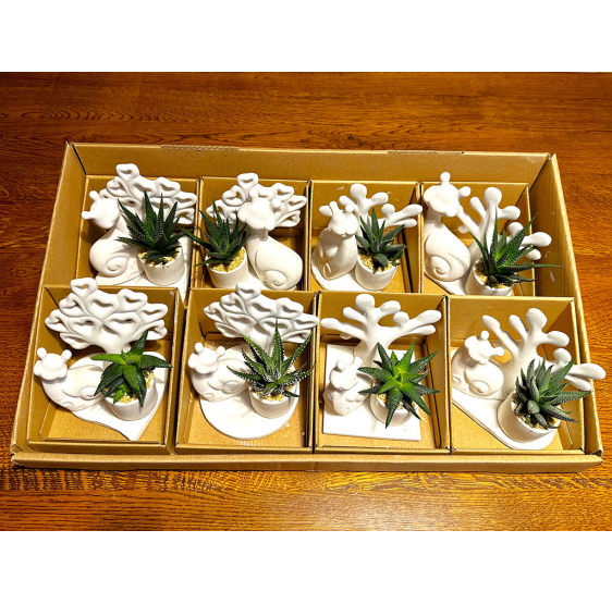 Serie 8 lumache con albero vita