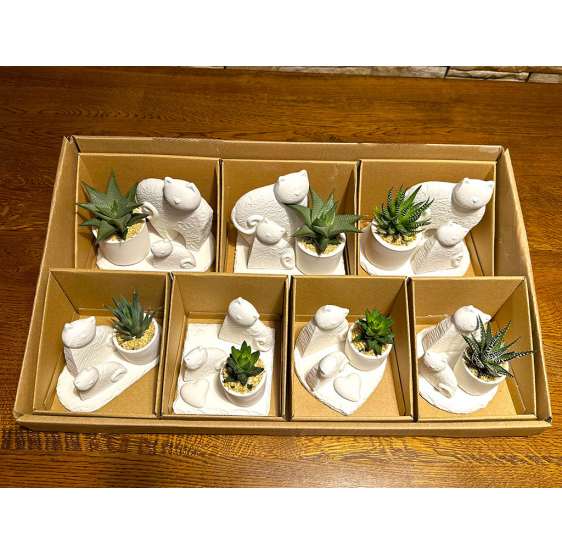 Serie 7 gatti piramide