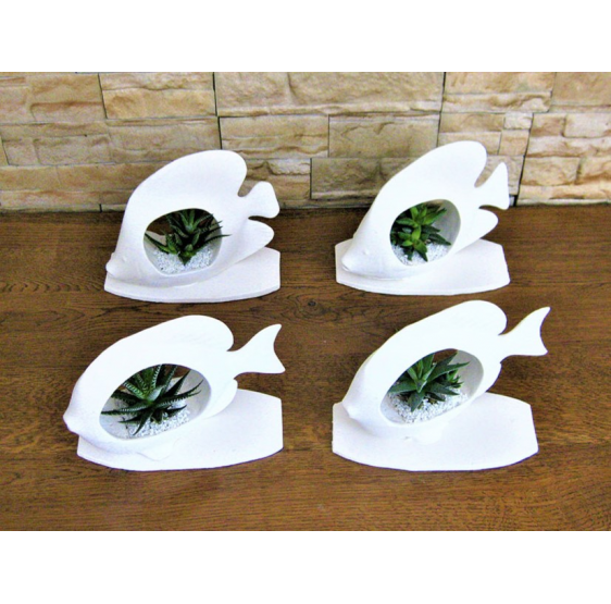 Serie 4 pesci con piante grasse