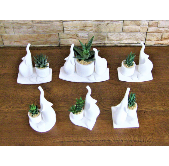 Serie 6 elefanti portafortuna