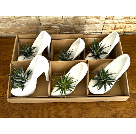 Serie 6 scarpe da donna