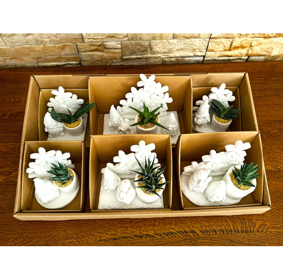 Serie 6 gnomi o elfi con fiori dietro.