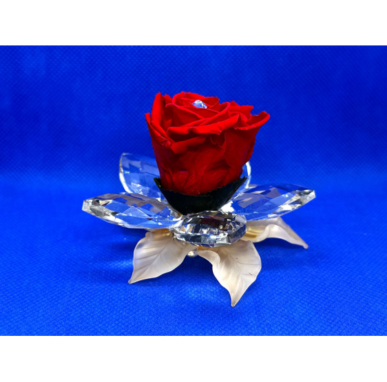 Ninfea su foglie in vetro soffiato