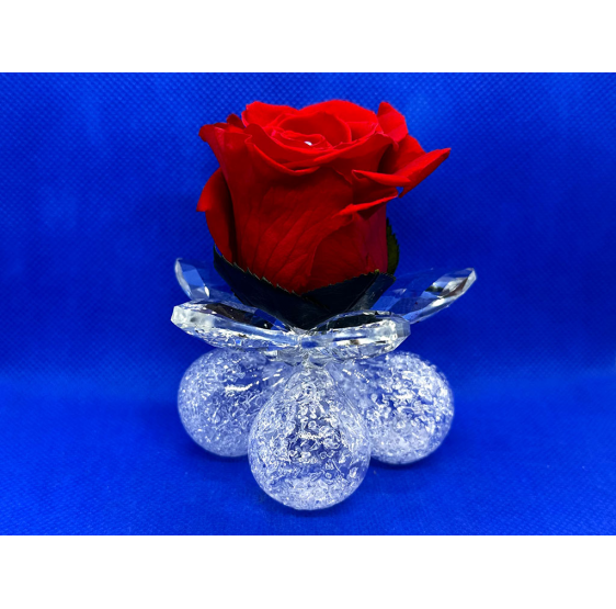 Ninfea su 4 bolle vetro soffiato