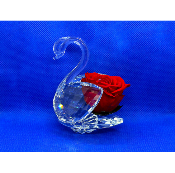 Cigno cristallo e rosa stabilizzata