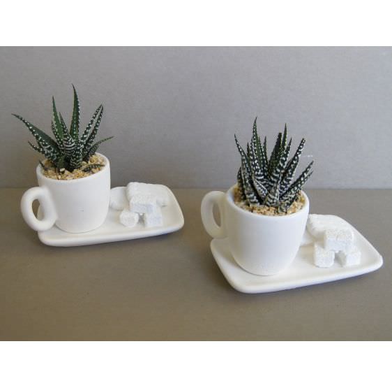 Tazza mini su vassoio rettangolare