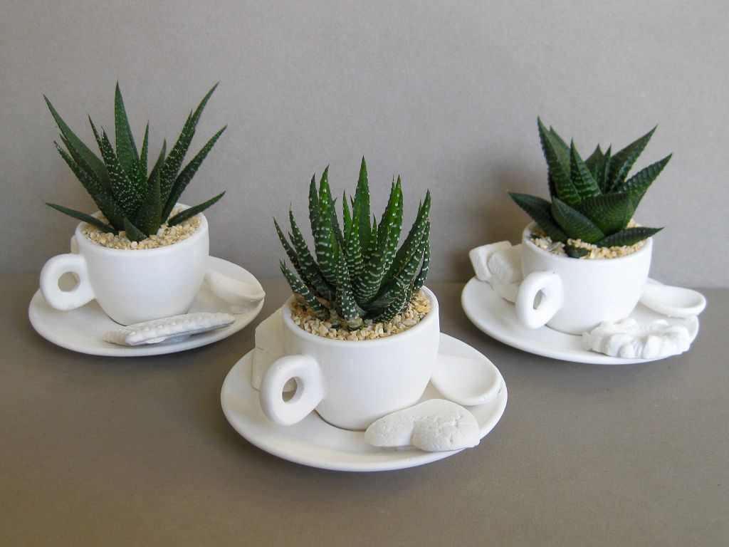 Tazza Caffe Con Pianta Grassa Iride