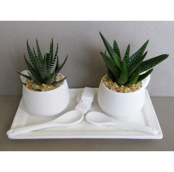 vassoio rettangolare per 2