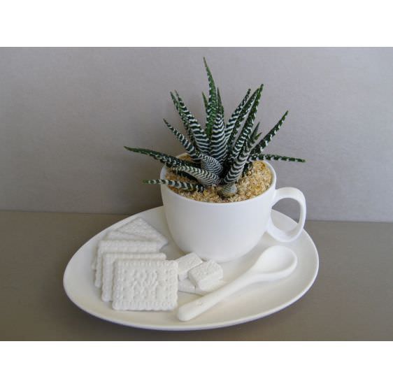 vassoio con tazza da latte