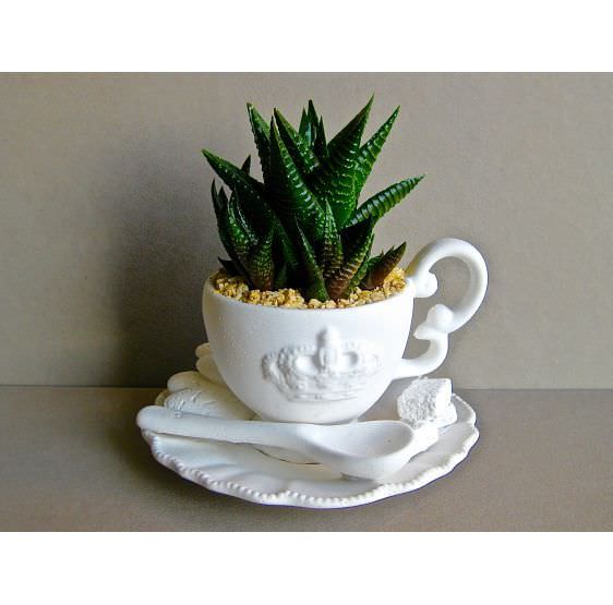 tè shabby sheffield