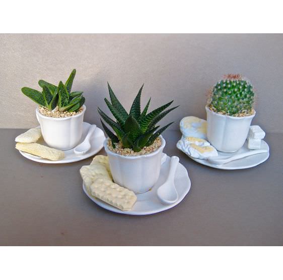 serie shabby chic biscotti colorati