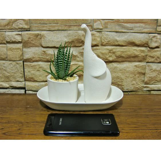 serie 8 elefantini base ovale