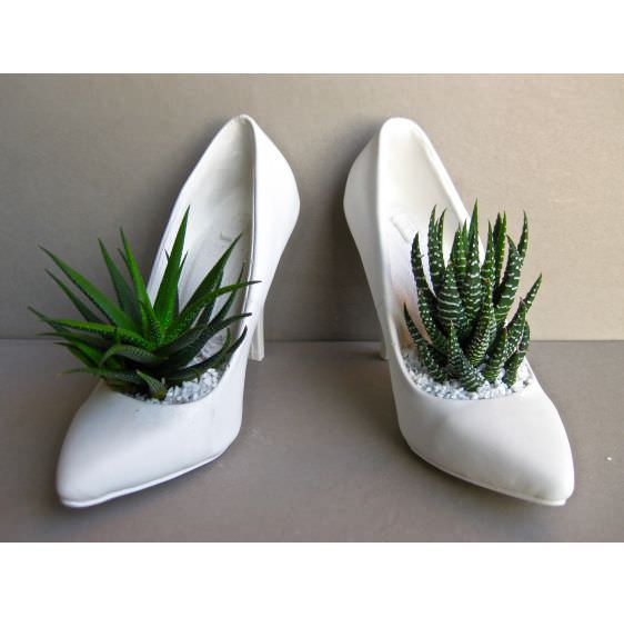 coppia decoltè classiche