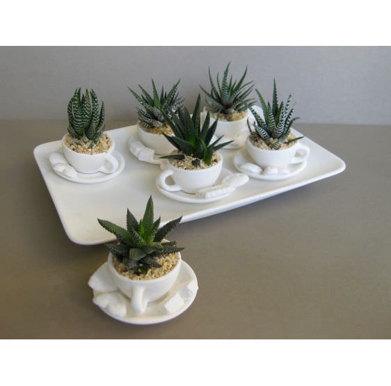 Tazza mini con vassoio