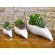 Tris sculture onde con piante grasse