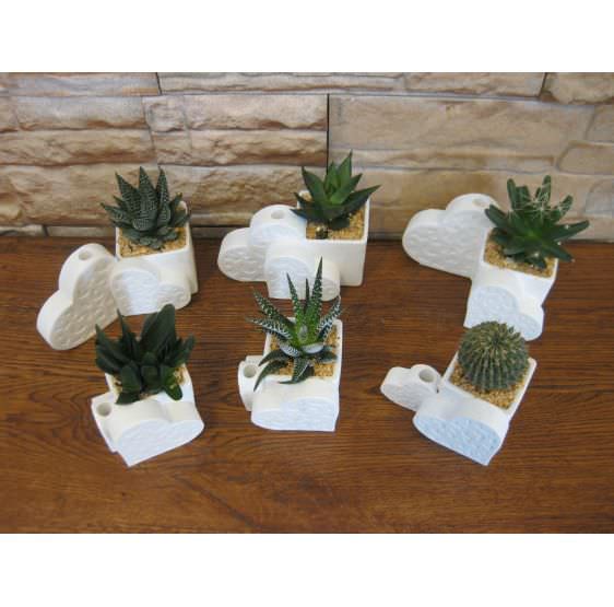 Serie 6 cuori portapenne