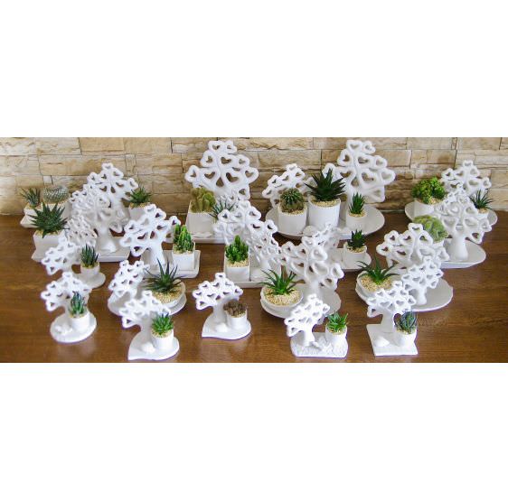 Linea completa Alberi della vita 24 pz