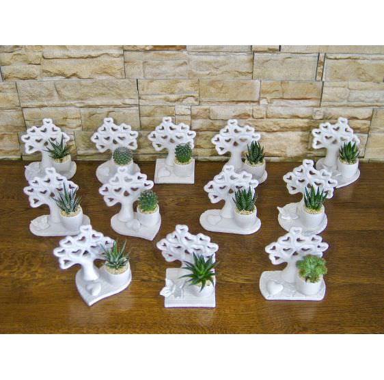 Serie 12 Alberelli della vita