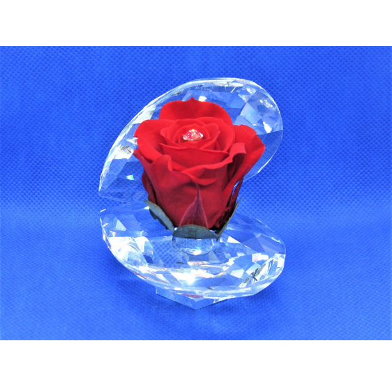 Ostrica cristallo con rosa stabilizzata