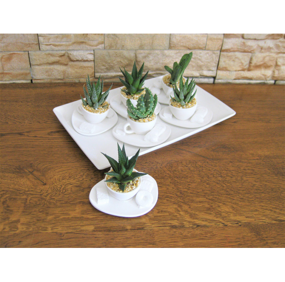 tazza mini base ovale e vassoio