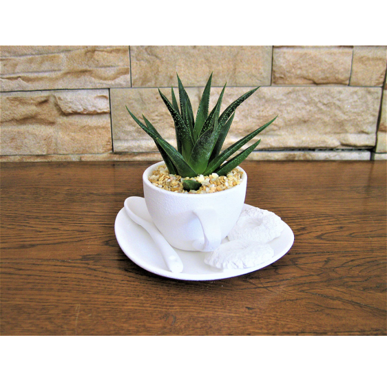 Tazza caffè con pianta grassa base ovale