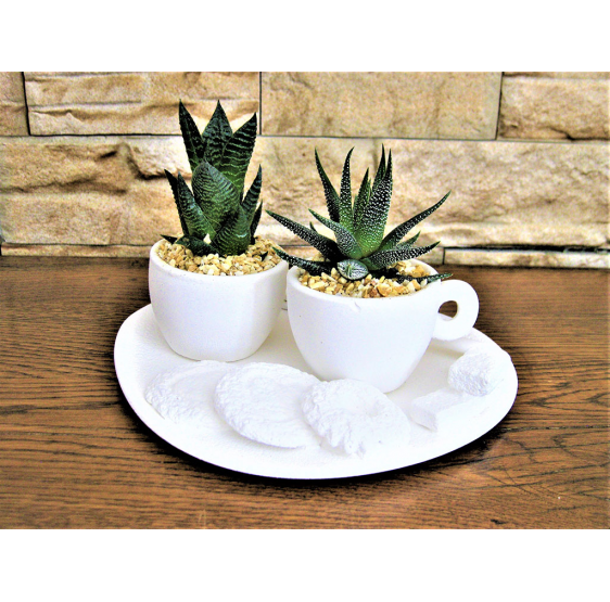 vassoio con 2 tazze caffè