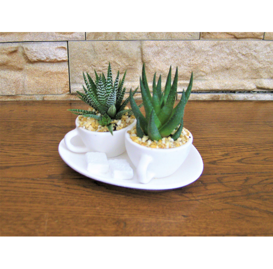 Vassoio con 2 tazze micro