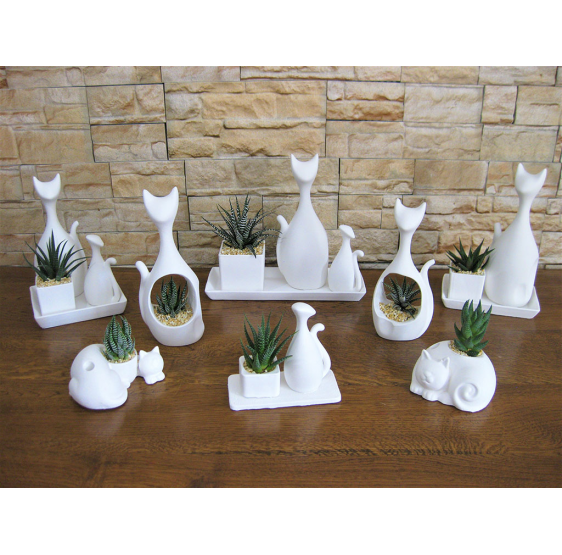 Serie 10 gatti misti