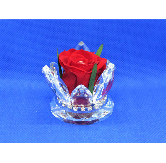 Corona piccola cristallo e rosa