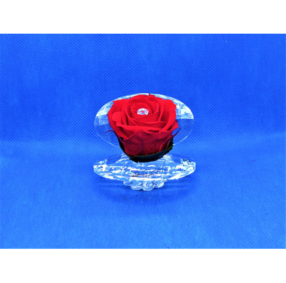 Ostrica ovale in cristallo con rosa